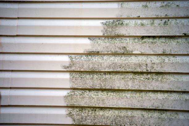 Best Construction Debris Removal  in Bethesda, OH