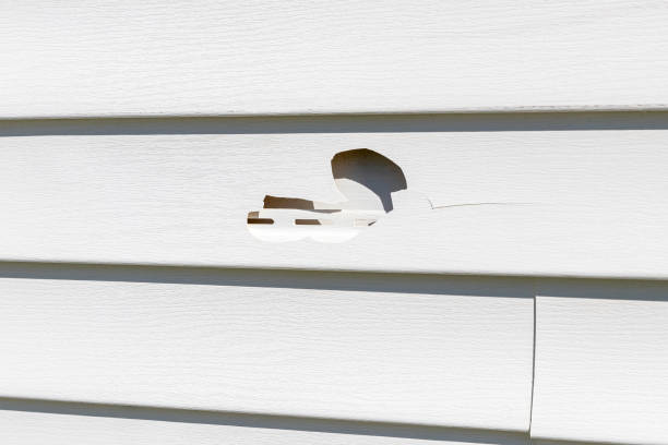 Best Property Management Cleanouts  in Bethesda, OH